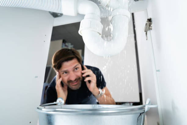 Best Toilet Repair Services  in South Lyon, MI